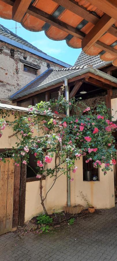 La Charpenterie Daire Bergheim Dış mekan fotoğraf
