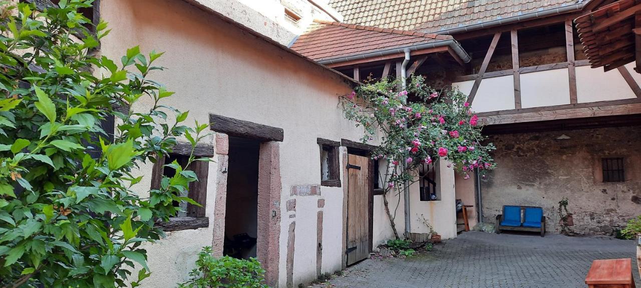 La Charpenterie Daire Bergheim Dış mekan fotoğraf