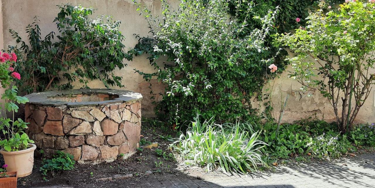 La Charpenterie Daire Bergheim Dış mekan fotoğraf